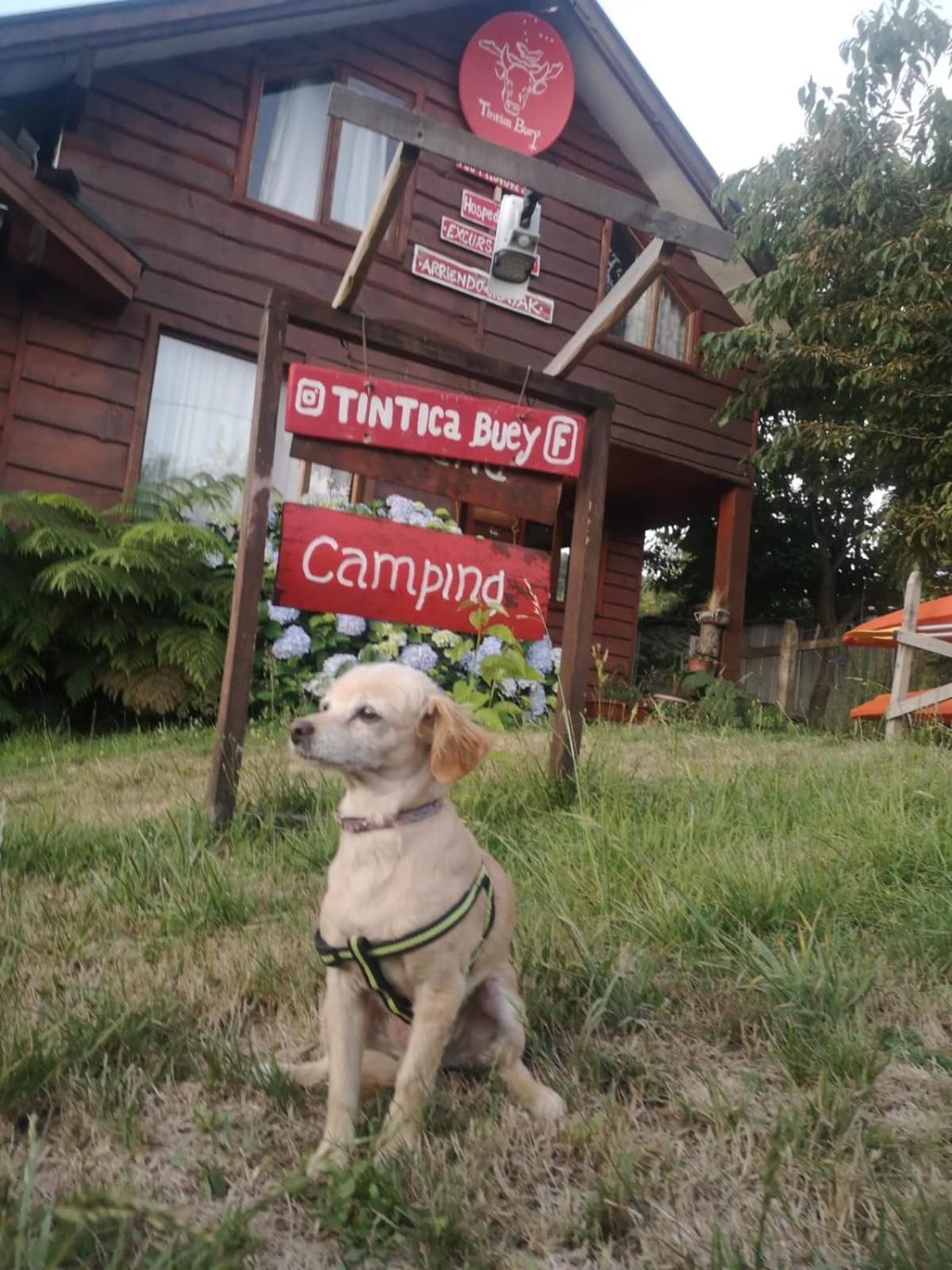 Hotel Hostal Tintica Buey Puerto Fuy Zewnętrze zdjęcie